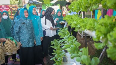 Ketua Tp Pkk Kota Makassar Optimis Makassar Bisa Kembali Wakili Sulsel Di Ajang Lomba