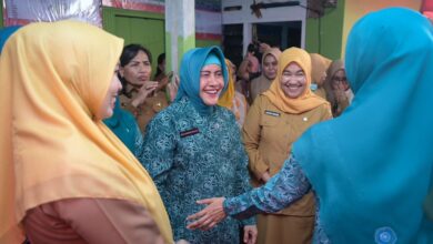 Ketua Tp Pkk Provinsi Sulsel Tinjau Posyandu