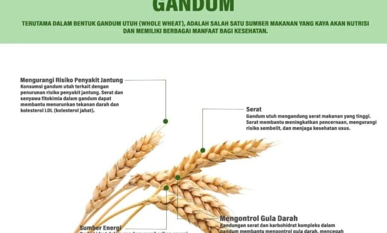 Whatsapp Image 2024 06 13 At 01.10.03