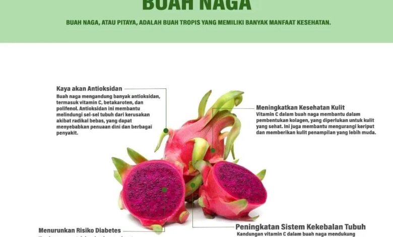 Whatsapp Image 2024 06 13 At 01.11.03