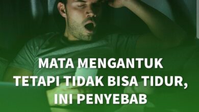 Whatsapp Image 2024 06 18 At 00.38.48