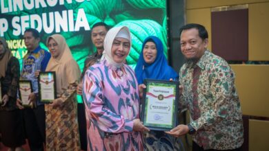 Ketua Tp Pkk