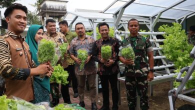 Dinas Ketahanan Pangan Makassar Dorong Kemandirian Pangan