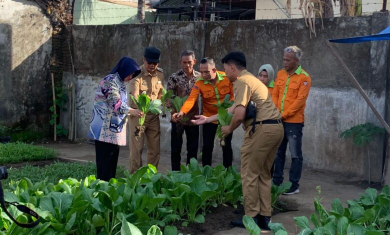 Whatsapp Image 2024 08 05 At 21.55.39