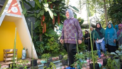 Ketua TP PKK Makassar Tinjau Lorong Wisata Gembira, Agatis Farm, dan Maastricht
