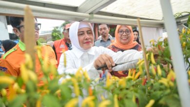 Indira Yusuf Ismail Apresiasi Perubahan Positif di Lorong Wisata Sydney