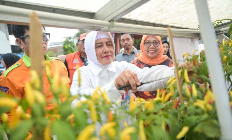 Indira Yusuf Ismail Apresiasi Perubahan Positif di Lorong Wisata Sydney