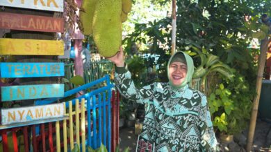 Ketua TP PKK Kota Makassar Dorong Promosi Potensi Wisata di Pulau Lae-Lae