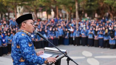 Wali Kota Danny Pomanto Serahkan SK 4.067 P3K Lingkup Pemkot Makassar