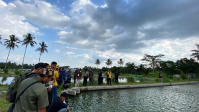 Pembudidaya Ikan PPU Kunjungi Yogyakarta: Belajar Praktik Budidaya Nila Salin untuk Tingkatkan Hasil Produksi