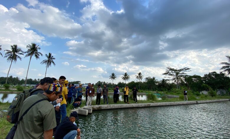 Pembudidaya Ikan PPU Kunjungi Yogyakarta: Belajar Praktik Budidaya Nila Salin untuk Tingkatkan Hasil Produksi
