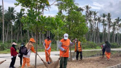 DLH PPU: Coastal Road Siap Menjadi Ruang Publik Hijau dan Nyaman bagi Masyarakat