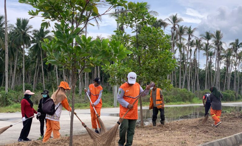 DLH PPU: Coastal Road Siap Menjadi Ruang Publik Hijau dan Nyaman bagi Masyarakat