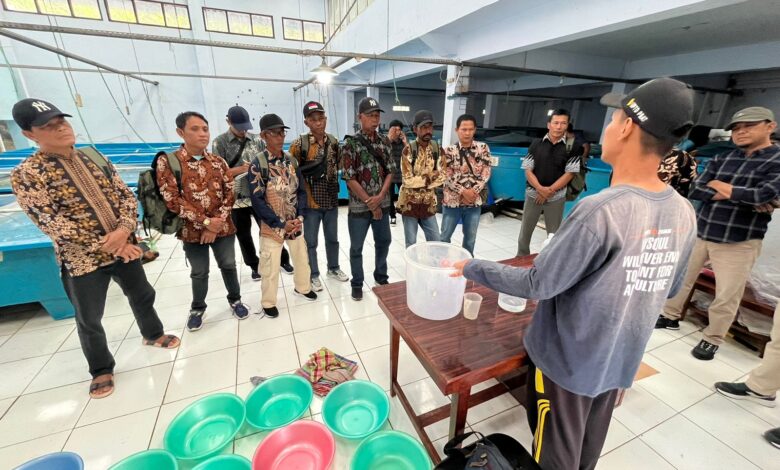 Whatsapp Image 2024 10 22 At 23.03.23