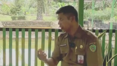 Pokdakan Meningkat: Diskan PPU Dukung Budidaya Ikan Air Tawar di Pekarangan