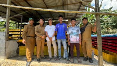 Dinas Perikanan PPU Dukung Budidaya Kepiting, Salurkan 800 Boks Apartemen ke Kelompok Pembudidaya