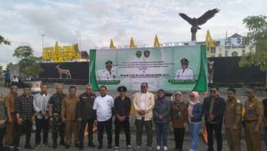 DLH PPU Salurkan Bibit Pohon di Sekolah dan Kelurahan, Diharapkan Dorong Ekonomi Masyarakat