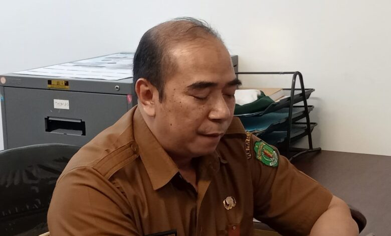 Whatsapp Image 2024 11 28 At 20.36.29