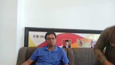 Whatsapp Image 2024 11 29 At 01.35.11
