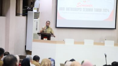 Img 20241210