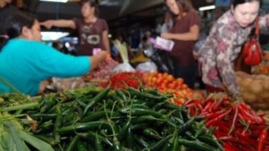 Sejumlah Bahan Pokok Di Pastikan Tidak Dikenakan Kenaikan Pajak Pertambahan Nilai (PPN ) 12%
