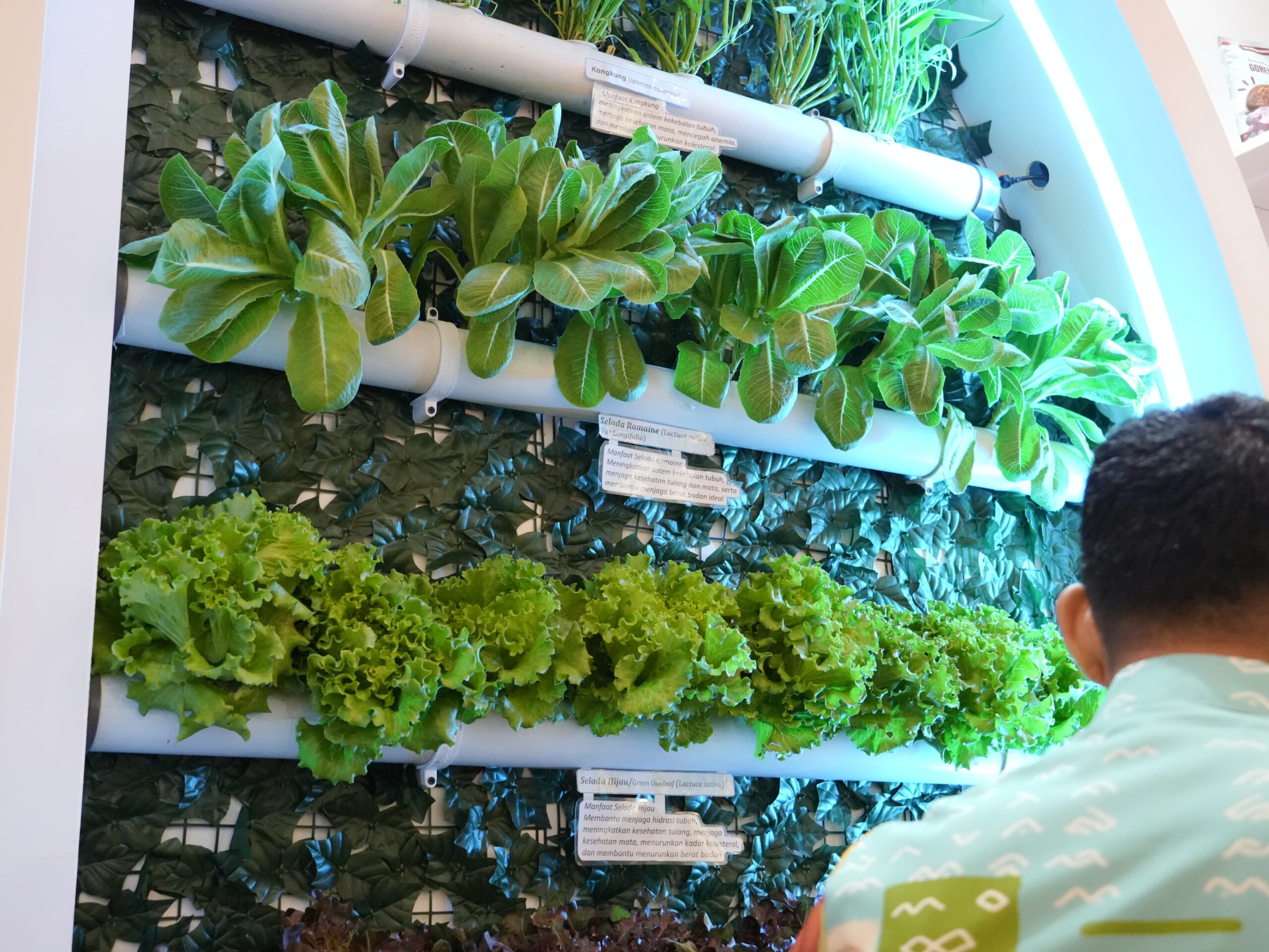 Both Pemkot Makassar Tarik Minat Pengunjung City Expo APEKSI Surabaya