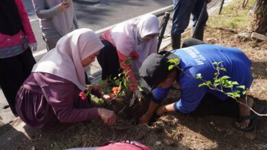 TP PKK Makassar, Dekranasda dan Pokja Bunda PAUD Dukung Program Jumat Bersih Lewat Aksi Tanam Pohon dan Lubang Biopori