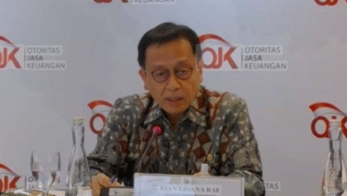Kepala Eksekutif Pengawas Perbankan Ojk Dian Ediana Rae