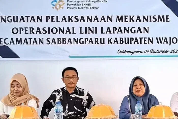 Peran Sentral Tenaga Lini Lapangan: Kunci Keberhasilan Program Bangga Kencana di Wajo
