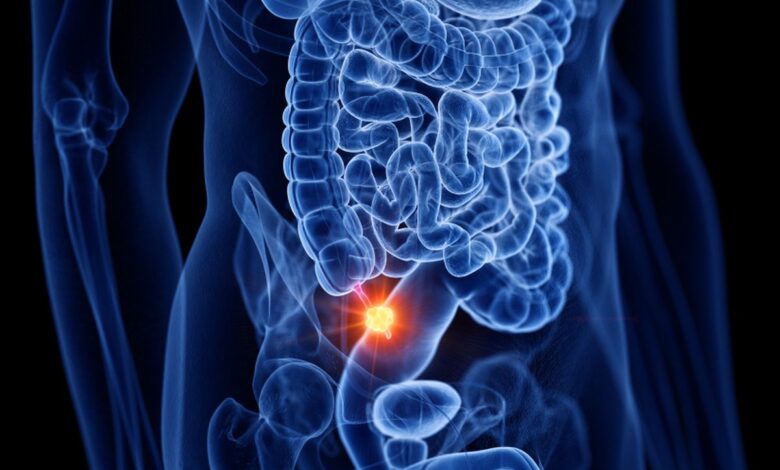 Whatsapp Image 2025 09 15 At 12.47.47