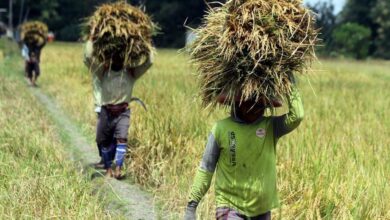 Petani Rugi Rp600 Miliar per Tahun, Kementan Bongkar Praktik Curang Distributor Pupuk