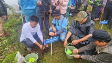 Plt KPH Jeneberang Bantah Pemberitaan Perambahan Hutan di Wilayah Kerjanya, Ini Penjelasannya