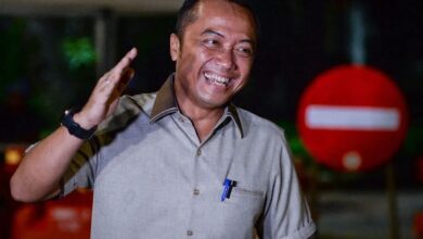 Pemerintah Audit 24 Perusahaan Pemegang Izin Pemanfaatan Hutan