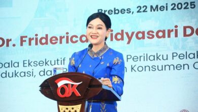 Friderica Widyasari Dewi Jelaskan Posisinya Merangkap Beberapa Jabatan di OJK