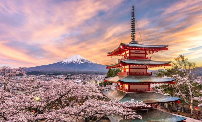 Kota di Jepang Putuskan Membatalkan Festival Sakura Akibat Perilaku Turis yang Menyulitkan Warga Setempat