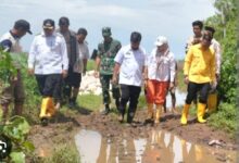 Wali Kota Munafri Respon Aspirasi Warga, Rp4 Miliar untuk Perbaikan Jalan di Romang Tongayya