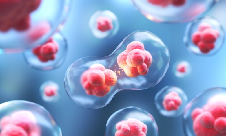 Teknologi Nanoflower Bantu Sel Punca Bagikan Energi ke Sel yang Menua