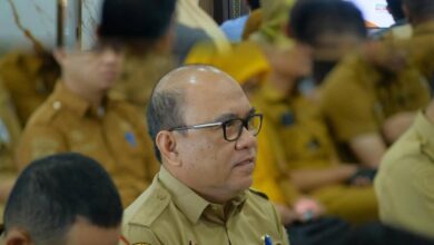 0c7a6f30 95f5 44e3 940a 268d4dea024d