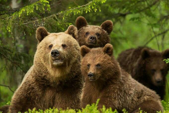 8018e7263079aeb15e977e1634289100