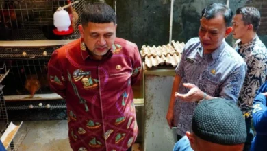 Wali Kota Makassar Tinjau Urban Farming di Wajo, Dorong Lorong Produktif Jadi Penopang Ketahanan Pangan Kota