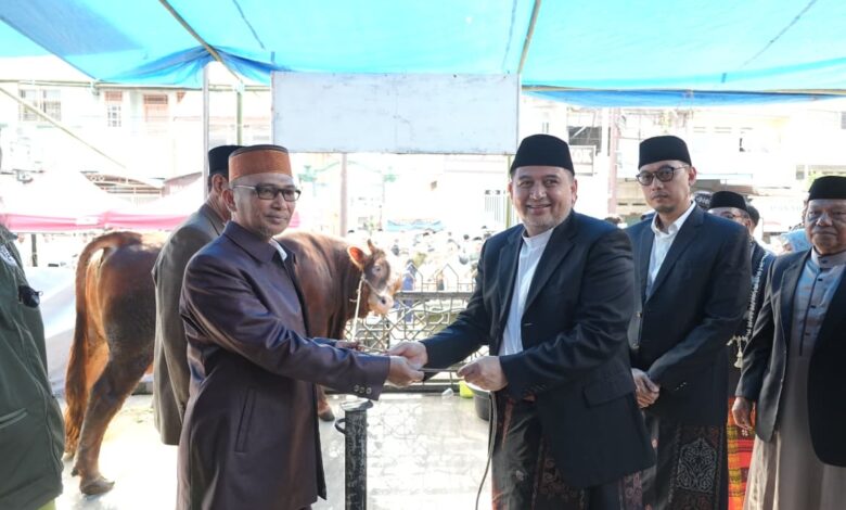 Bobot 923 Kilogram, Sapi Kurban Bantuan Presiden Jadi Perhatian Warga di Kecamatan Wajo