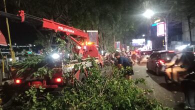 DLH Makassar Siapkan Lintasan MHM 2026, Pangkas Pohon untuk Maksimalkan Penerangan Jalur Lari