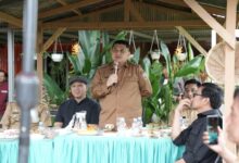 Munafri Perluas Program Urban Farming untuk Perkuat Ekonomi dan Ketahanan Pangan Warga
