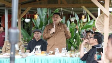 Munafri Perluas Program Urban Farming untuk Perkuat Ekonomi dan Ketahanan Pangan Warga