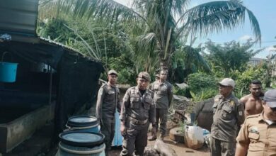 Kandang Babi di Area Gudang Farmasi Tamalate Sudah Dipindahkan, Kecamatan Bertindak Persuasif