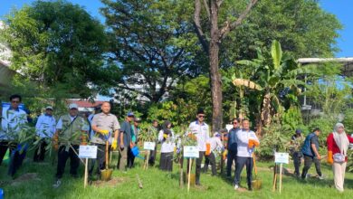 Peringati HUT ke-27, PNM dan DLH Makassar Tanam Tabebuya Kuning di Kawasan Monumen Mandala