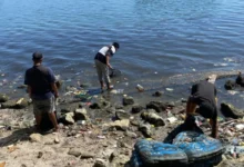 Respons Cepat Keluhan Warga, Kecamatan Ujung Pandang Bersihkan Tumpukan Sampah di Pantai Losari