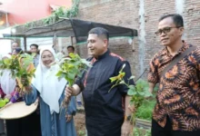 Munafri Apresiasi Urban Farming Tammua, Dorong Ketahanan Pangan dan Ekonomi Warga