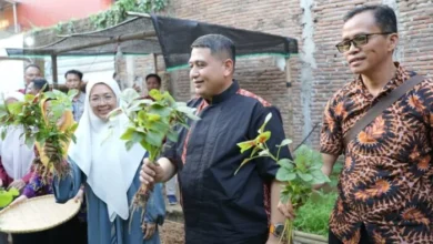 Munafri Apresiasi Urban Farming Tammua, Dorong Ketahanan Pangan dan Ekonomi Warga