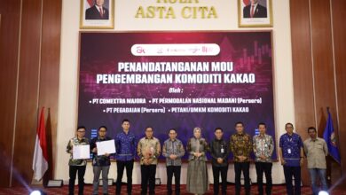 OJK Perkuat TPAKD Dorong Pembiayaan Produktif dan Pengembangan Kakao Sulsel